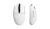 517.