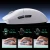 261.