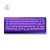 Ace-68-GT-Cyber-Violet-1