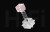 Ace-68-GT-Crystal-Pink-5