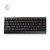 Ace-68-GT-Black-Gold-1
